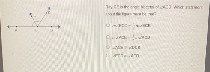 Bisector angle notes definition chapter class construct learned start