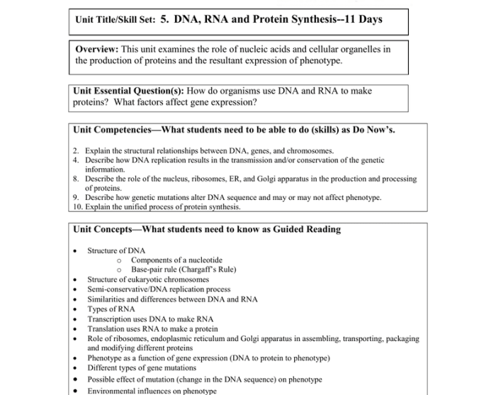 Photosynthesis guided reading comprehension answer key