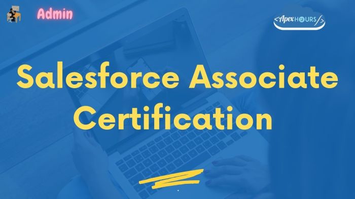 Salesforce certification certified admin power community career exam