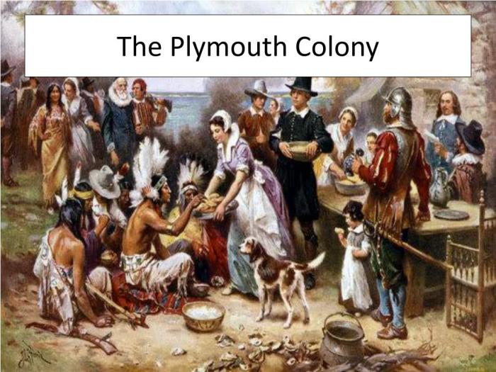 Colony plymouth library